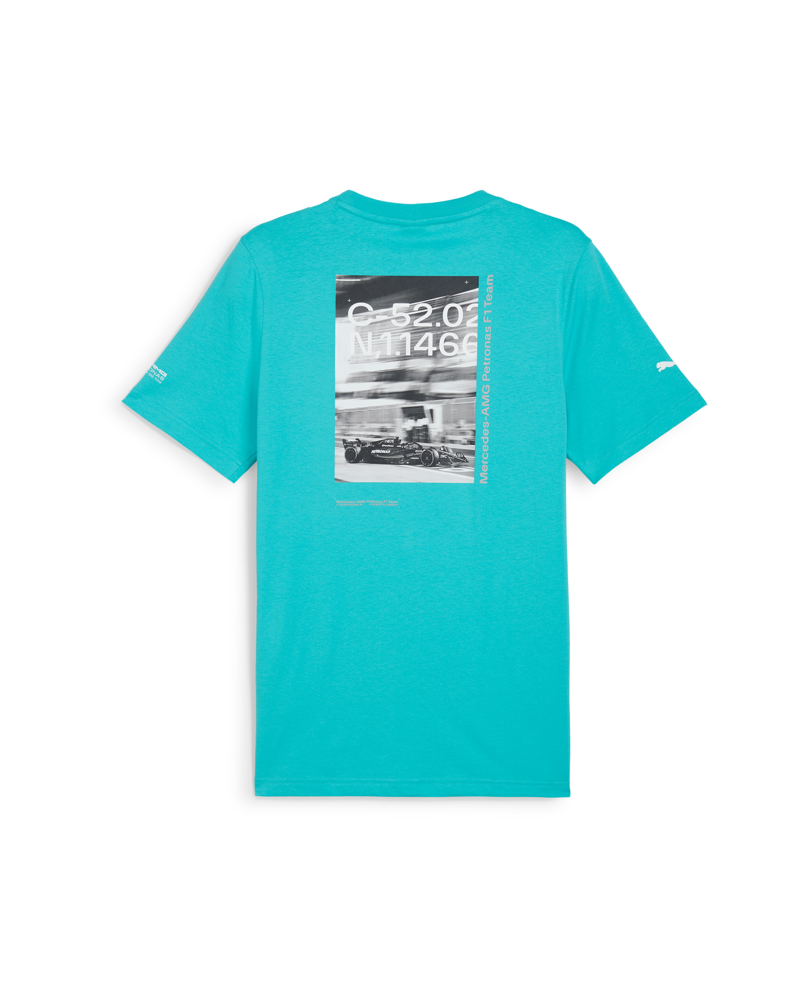 Mens Puma Statement Tee Sheen Green