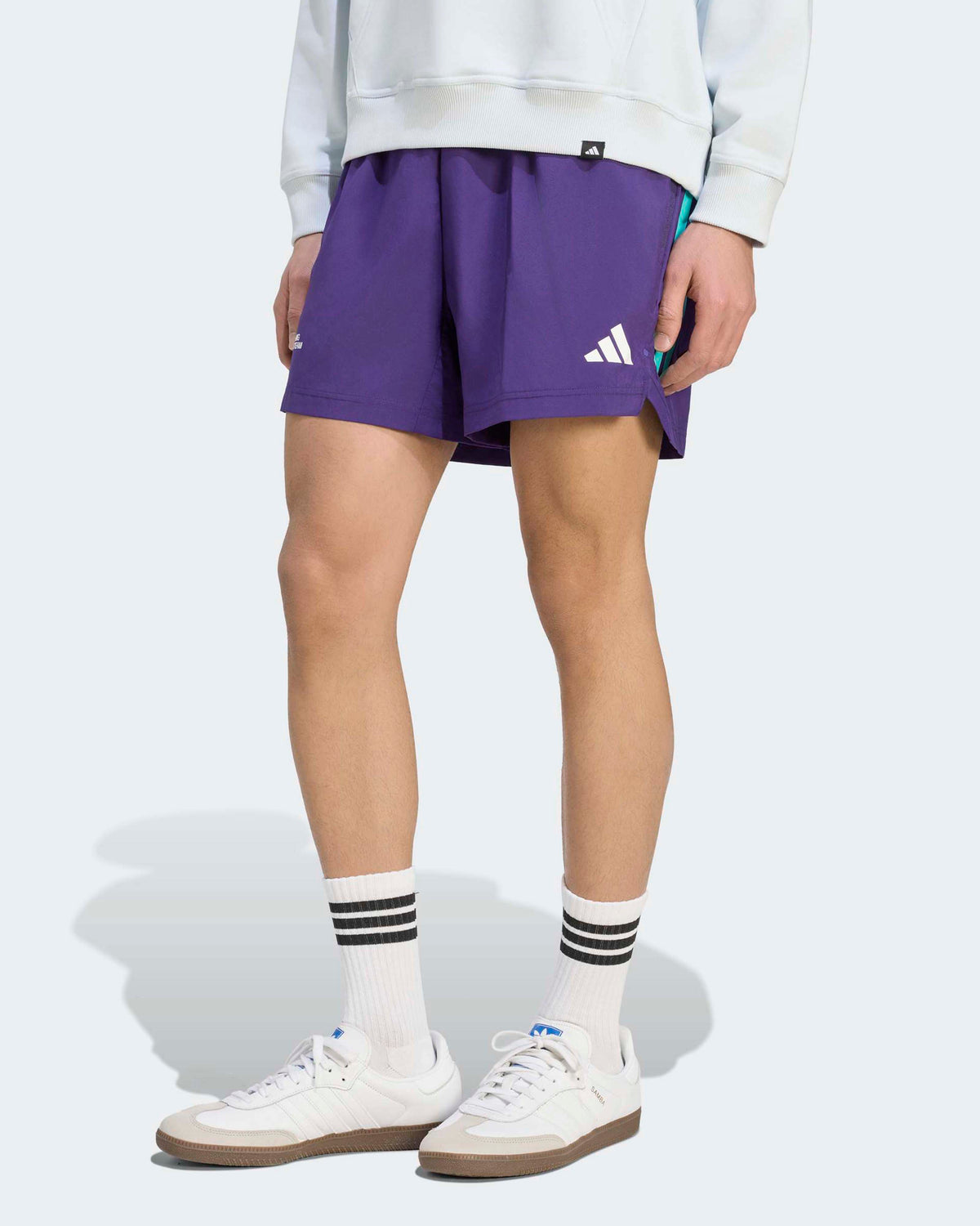 Mens Vanda Bloom Shorts Purple