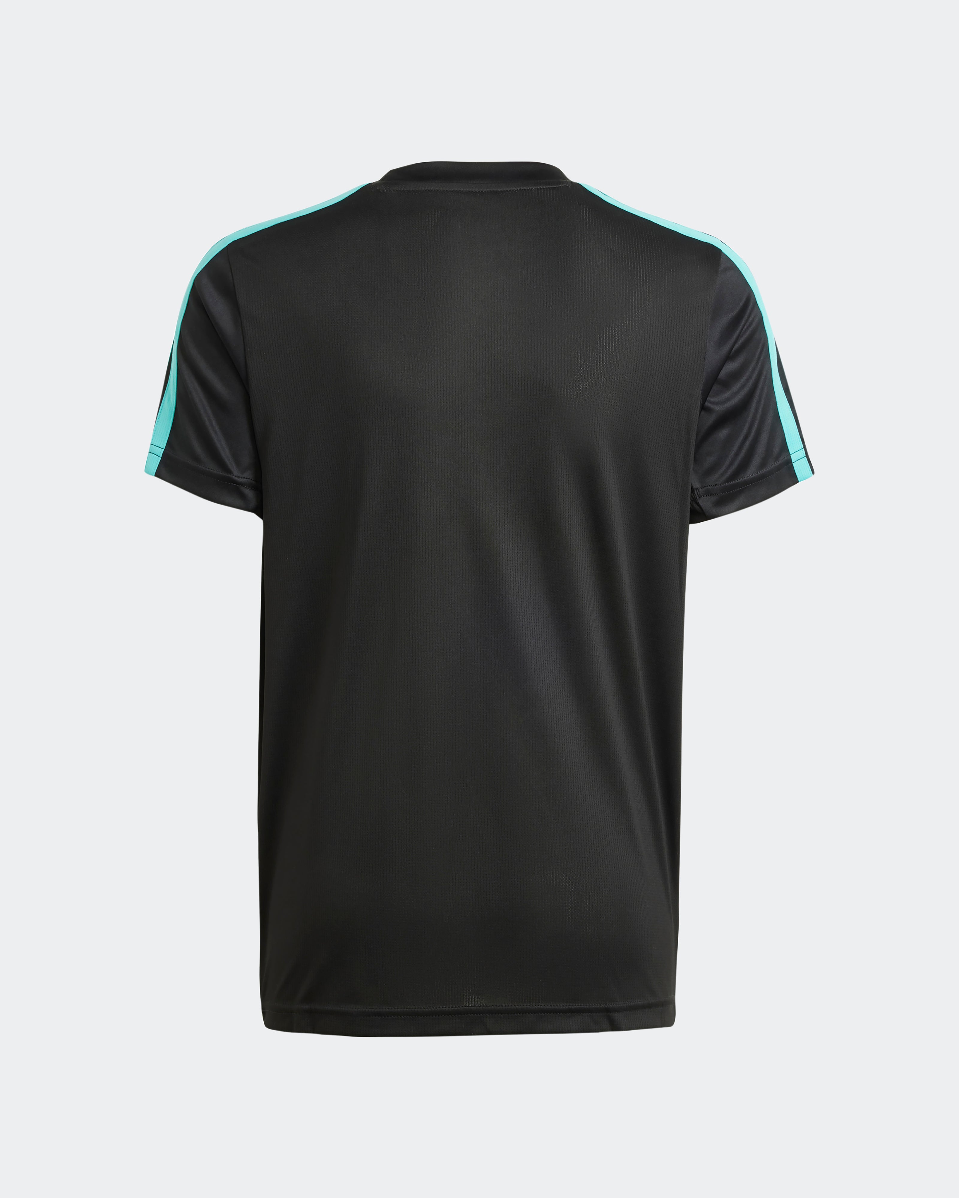 Fan T-shirts | Official Mercedes-AMG F1 Store