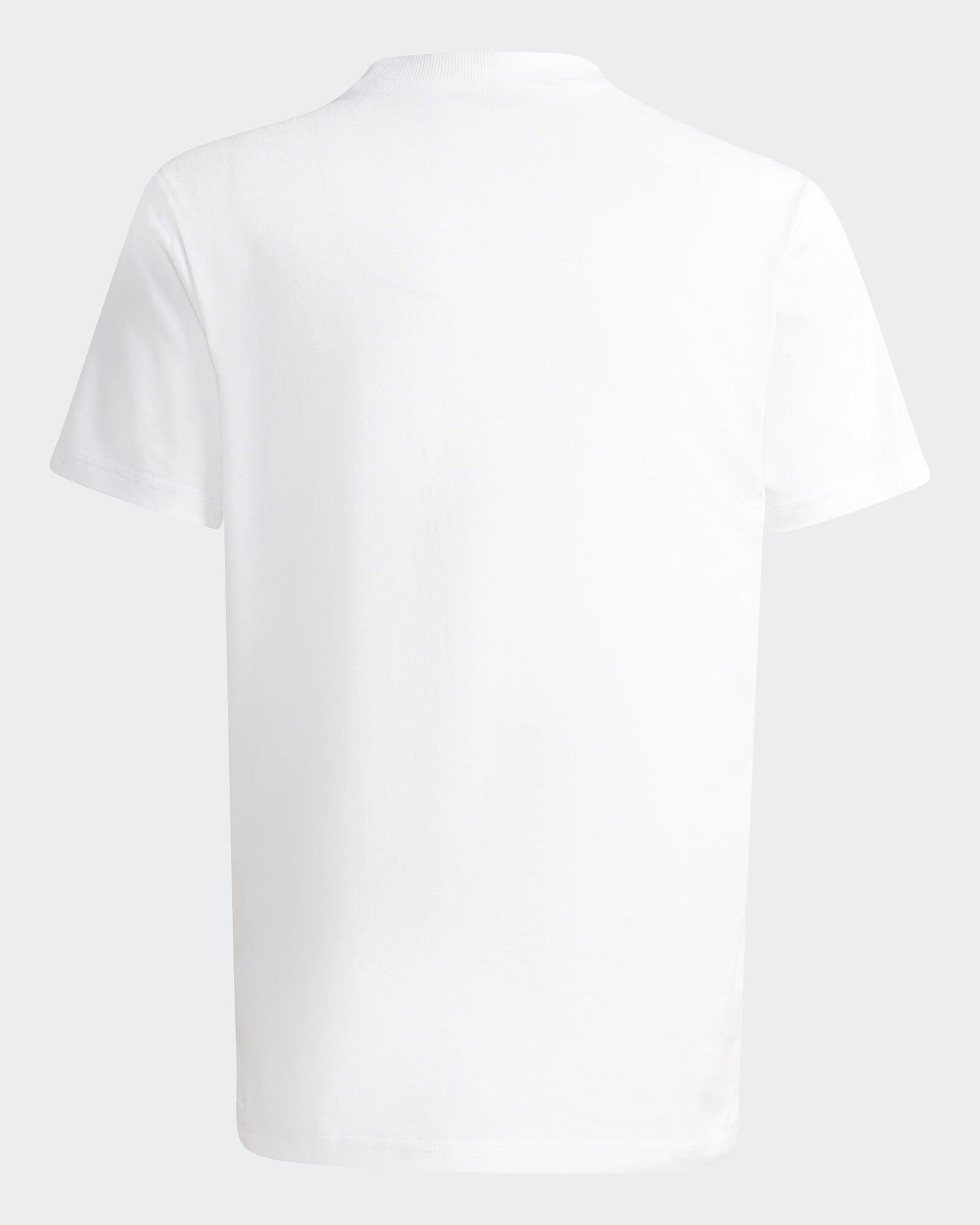 Mens Champions Graphic T-shirt White