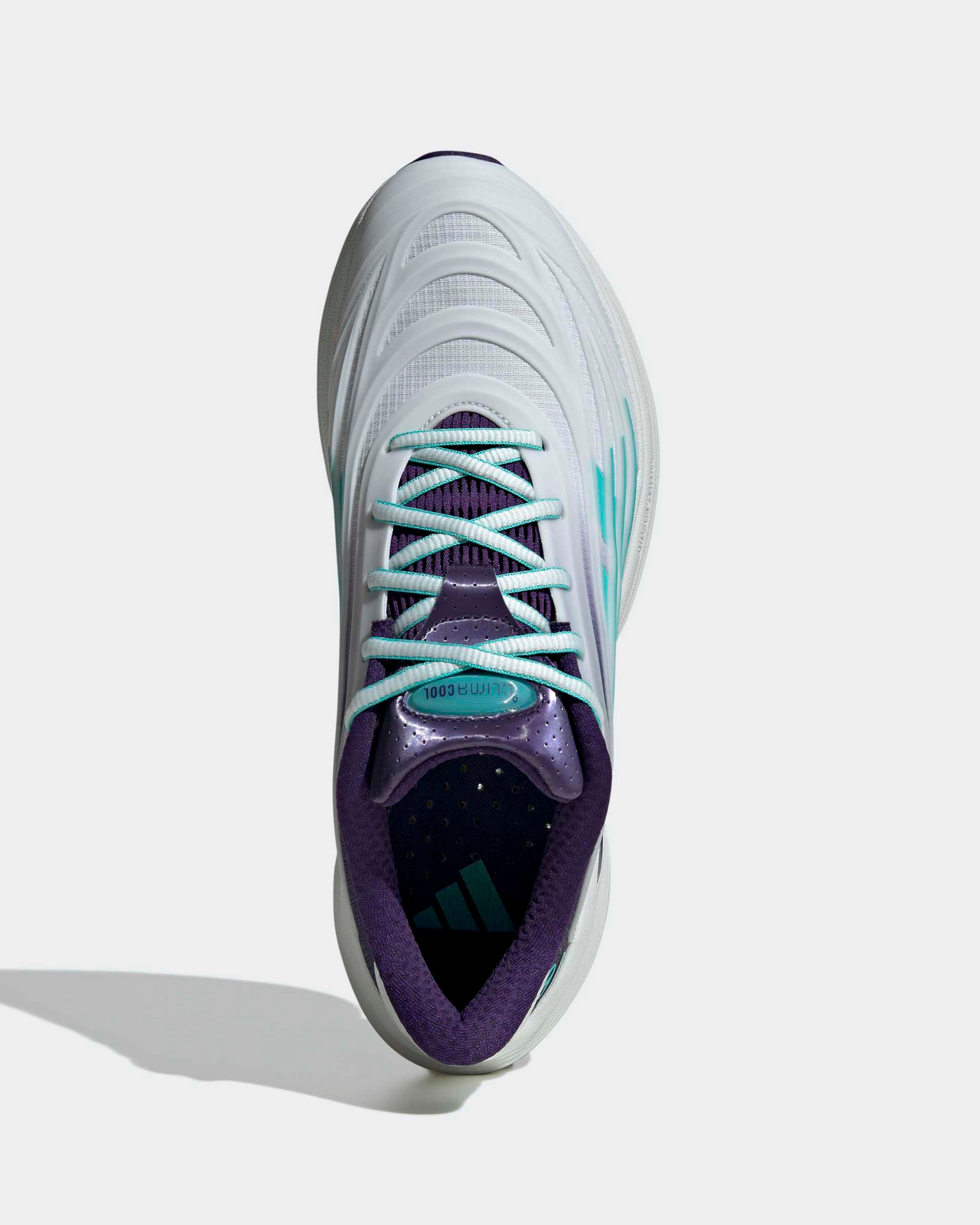 Mens Climacool Spw Shoes Purple
