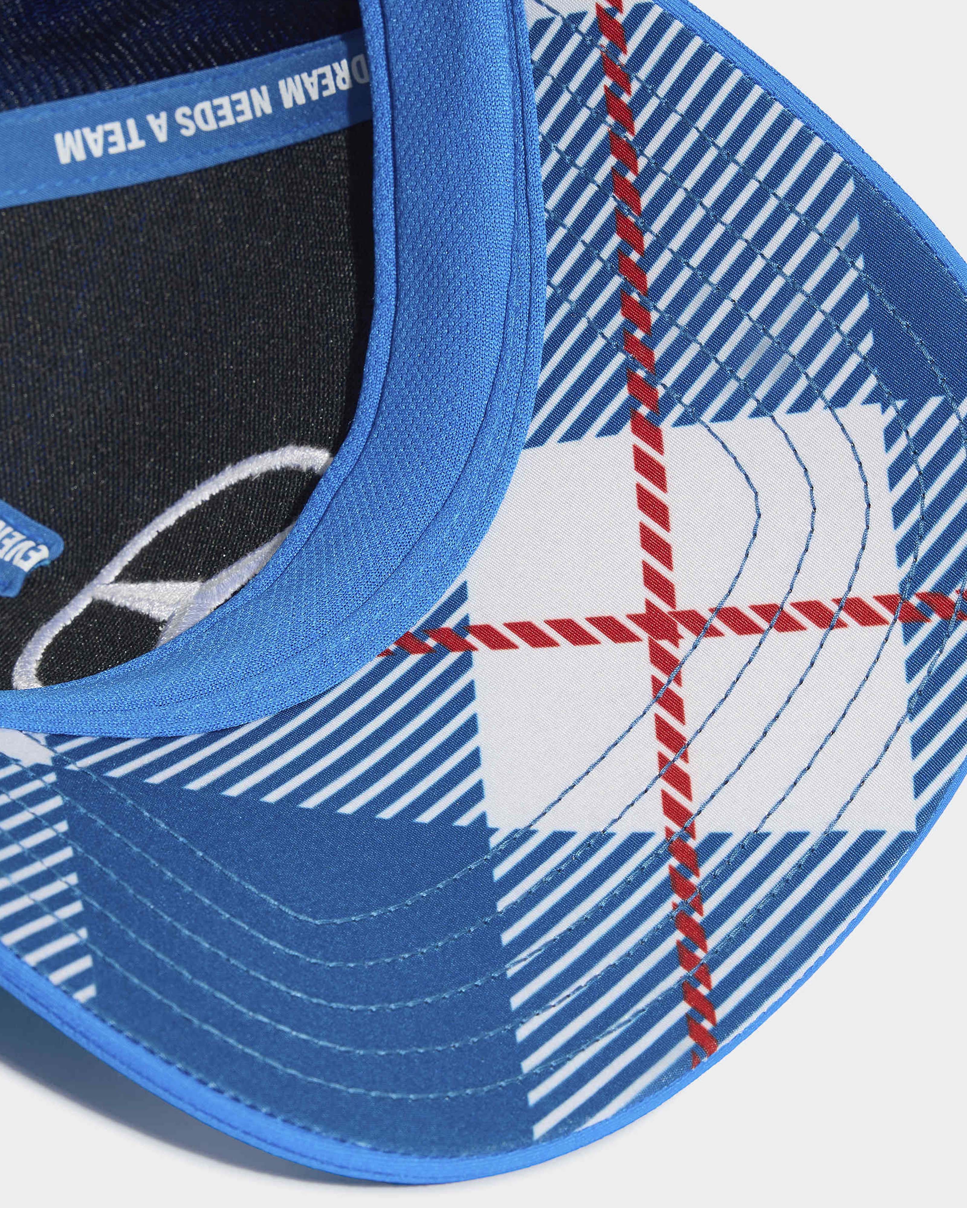 2026 Special Edition Blue Wonder Driver Cap Blue