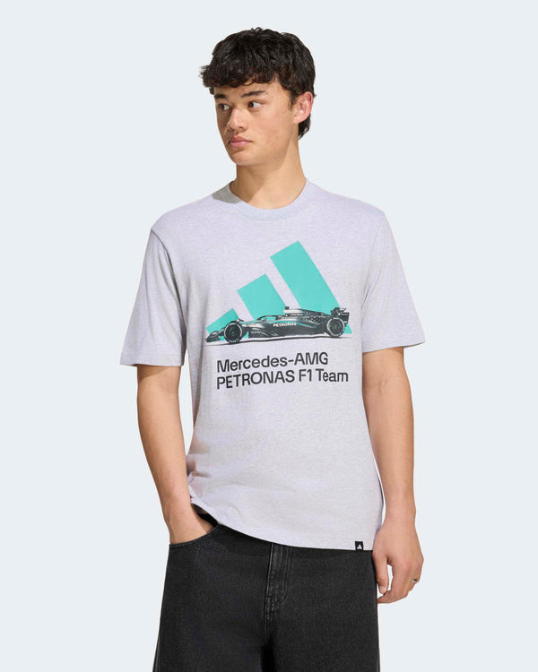 Mens Graphic T-shirt Grey