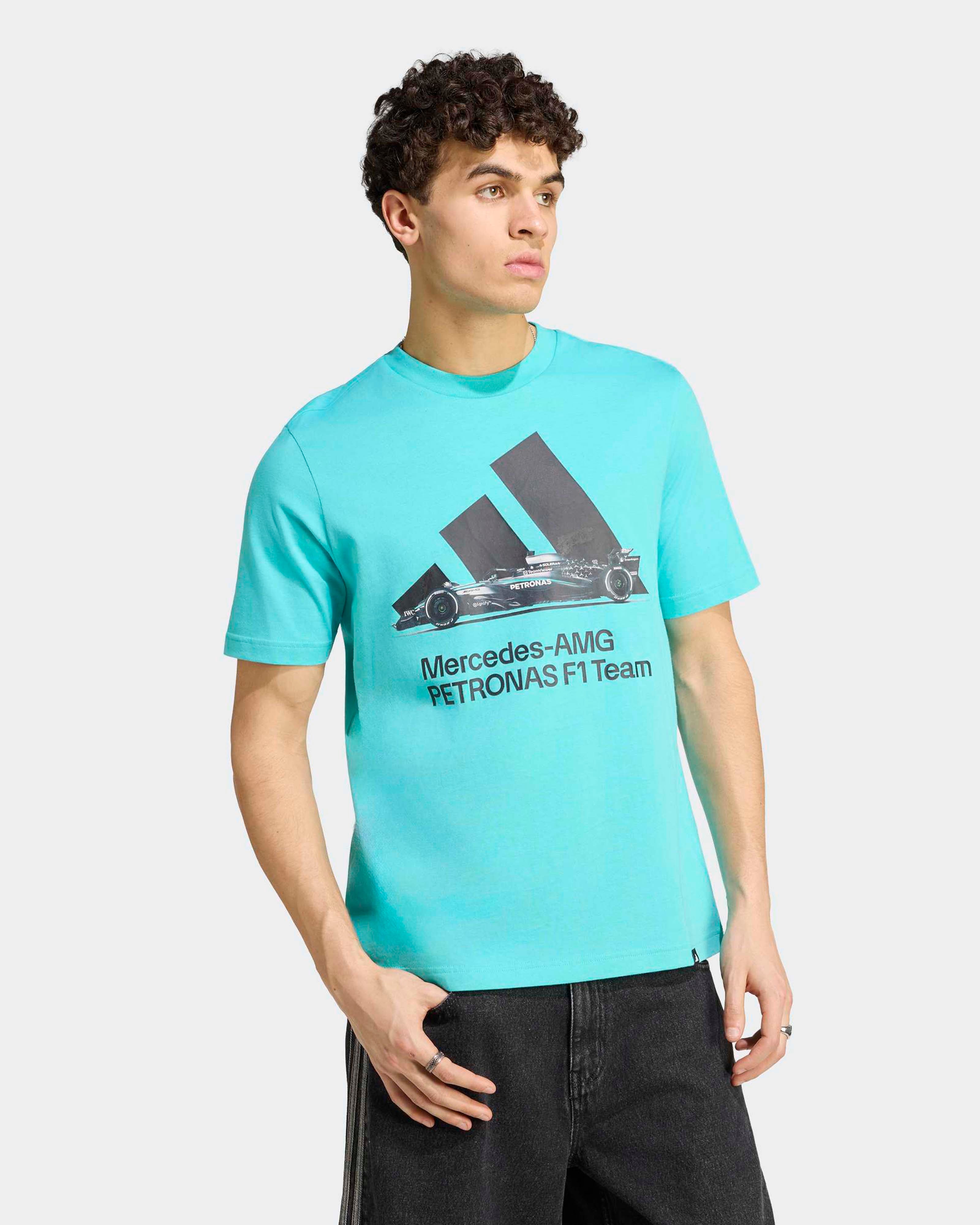 Mercedes-AMG PETRONAS F1 Team Men's Graphic T-shirt - Grey (2026