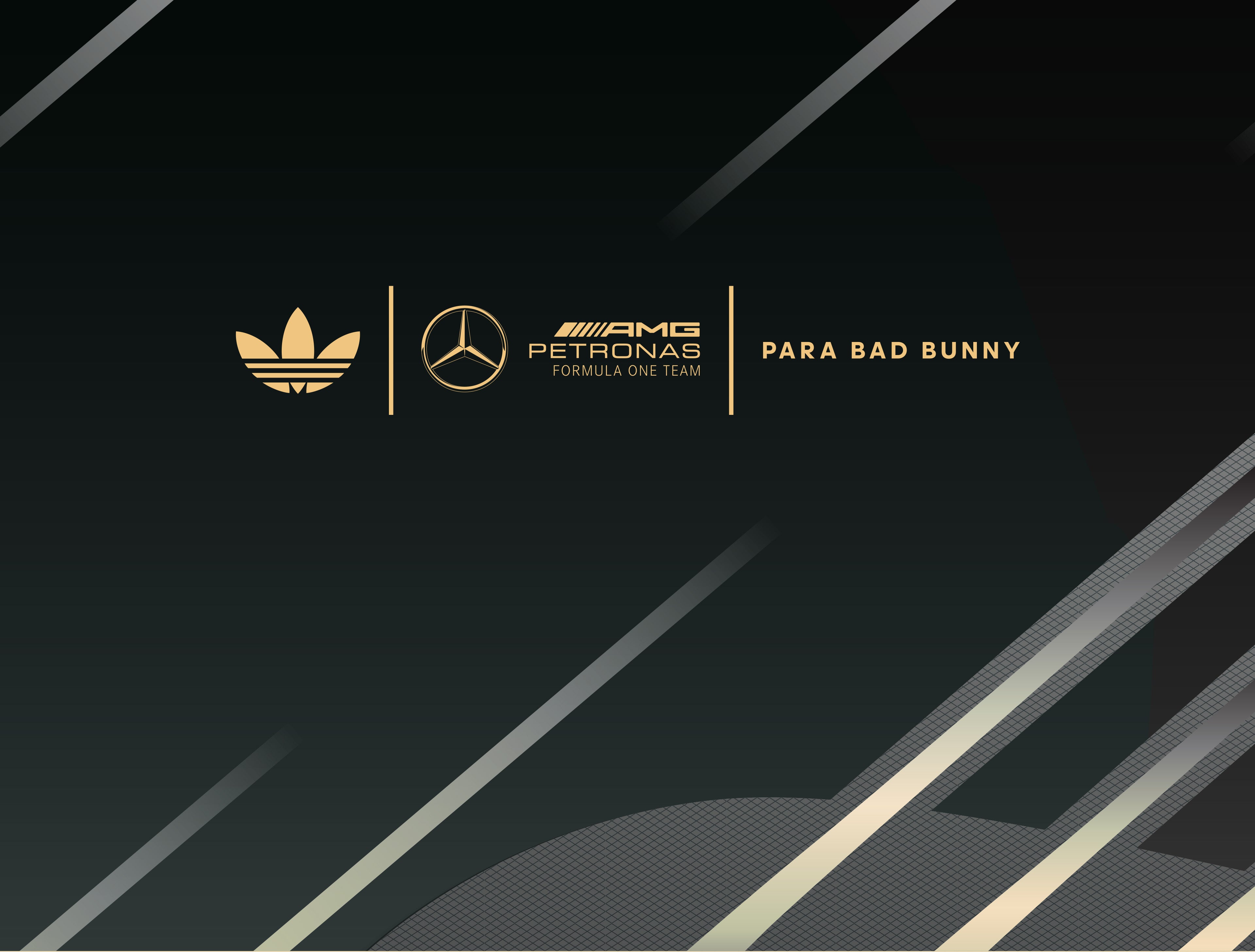 Official Mercedes-AMG PETRONAS F1 Team Store