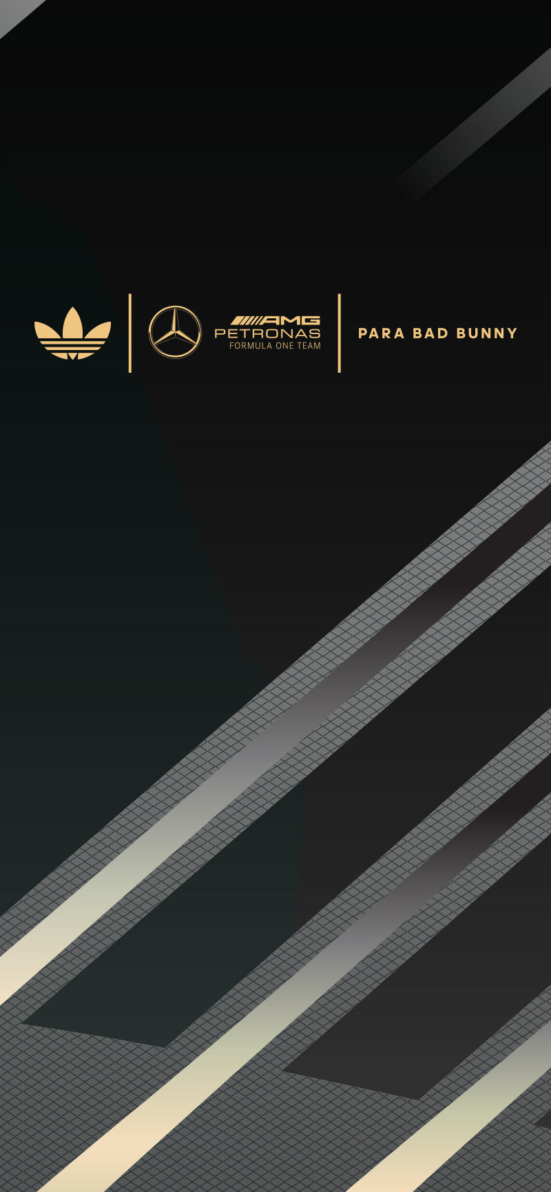 Official Mercedes-AMG PETRONAS F1 Team Store